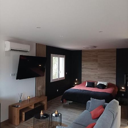 Loft Sauna Jacuzzi Ospariegeois Lavelanet Kültér fotó