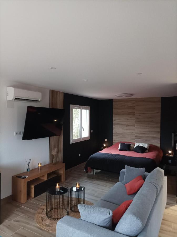 Loft Sauna Jacuzzi Ospariegeois Lavelanet Kültér fotó